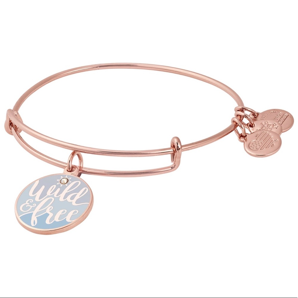 Alex and Ani Wild and Free charm bracelet